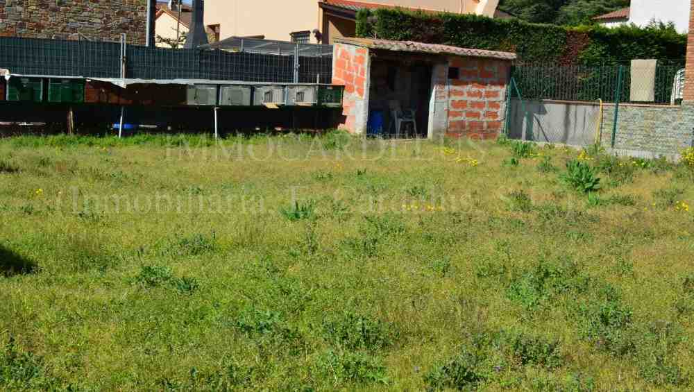 DSC 0005 ink 4 scaled