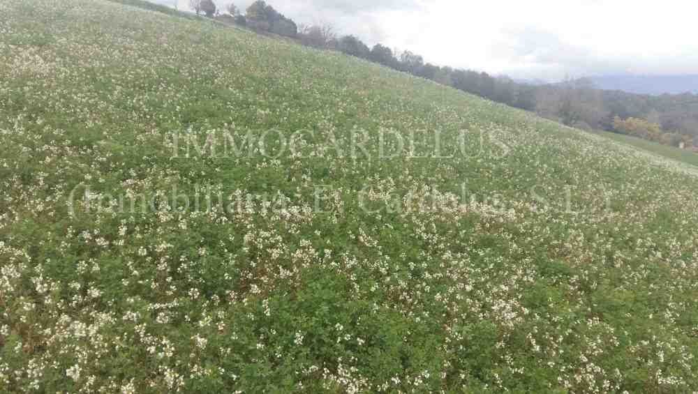 WhatsApp Image 2018 03 05 at 17.48.13 ink