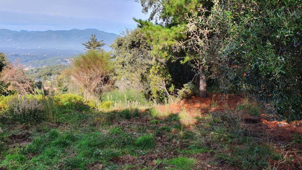 223967 96e338910d8138ed155648372f5330d7