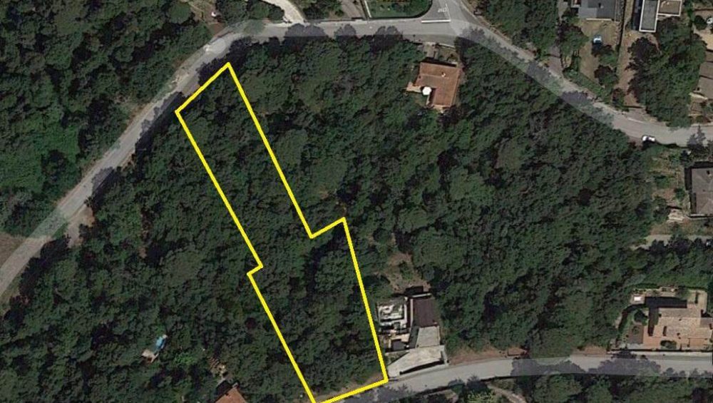 246617 3d84a53df7529ceda01b4e76e8273420